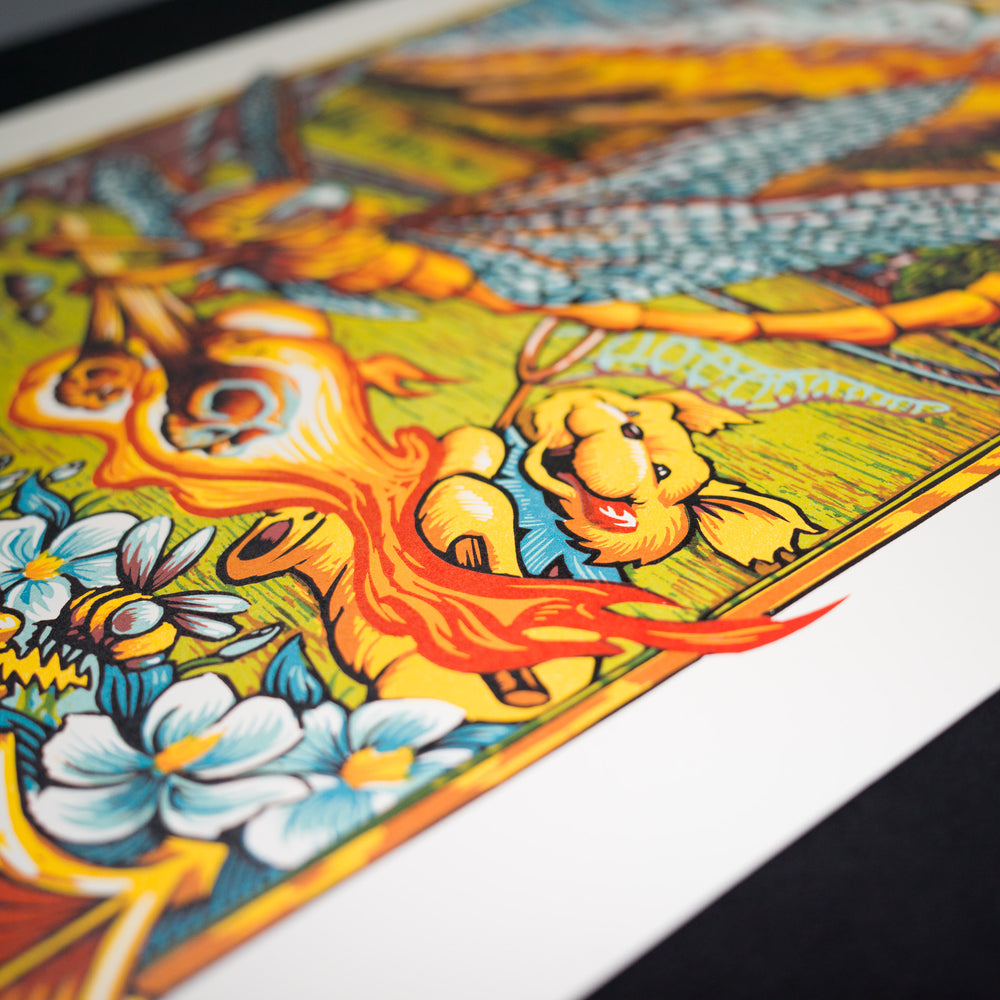 close up of AJ Masthay Dead and Company 2017 Boulder