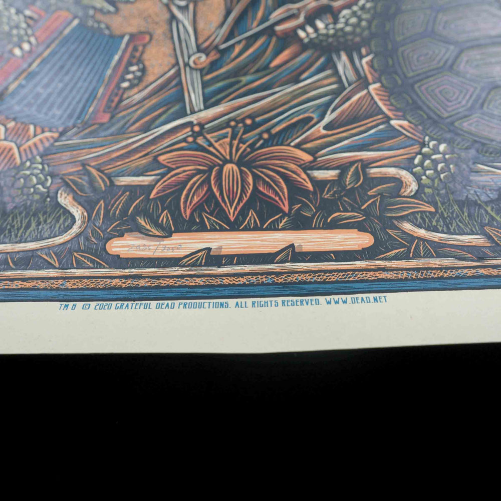 close up of rare dead concert poster