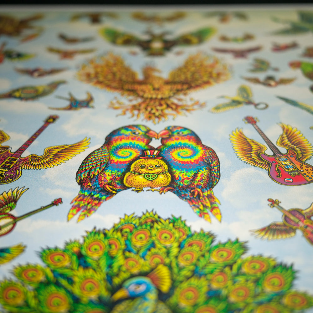 close up of emek dead and company poster with rainbow birds