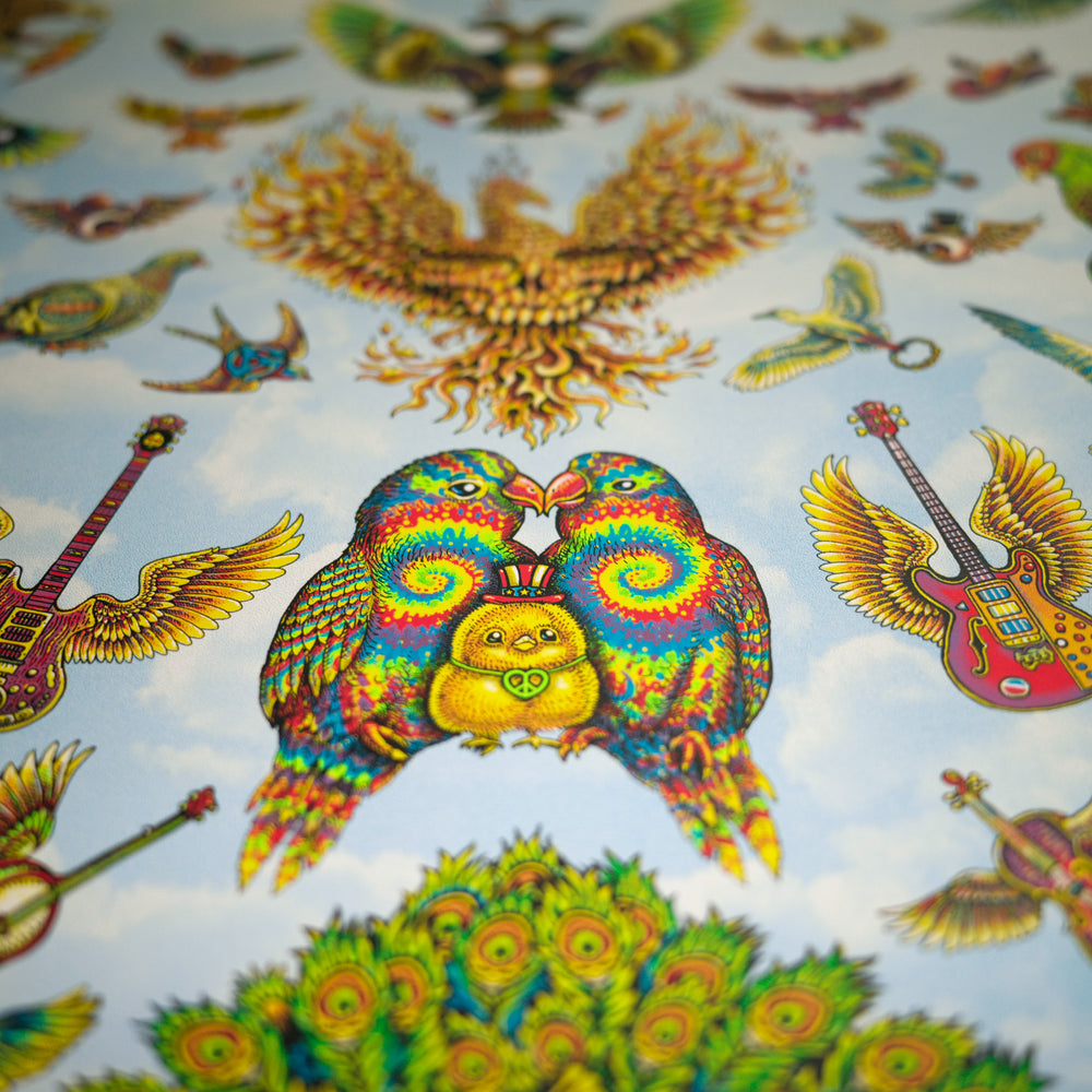 close up of emek dead and company poster with rainbow birds