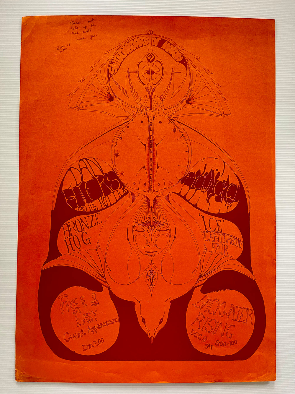 RARE 1969 Dan Hicks Piewacket Bronze Hog California Hall SF Original Concert Poster