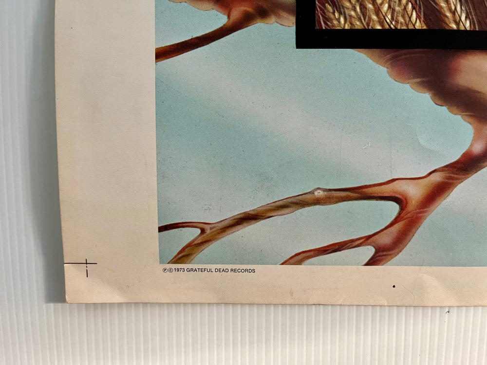 Rick Griffin Grateful Dead Wake of the Flood 1973 Original Uncut Printer Proof 23x29