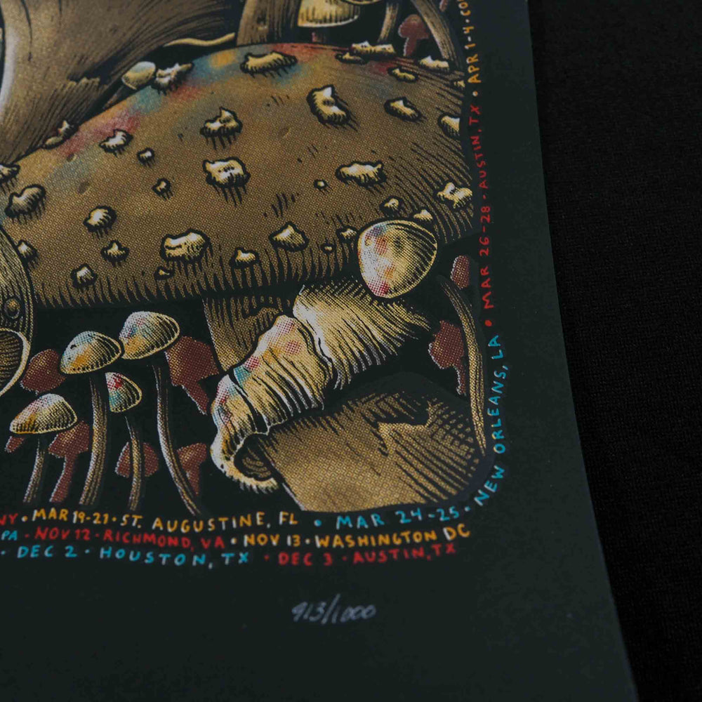 close up of Rare Dead Concert Poster with number 913 of 1000