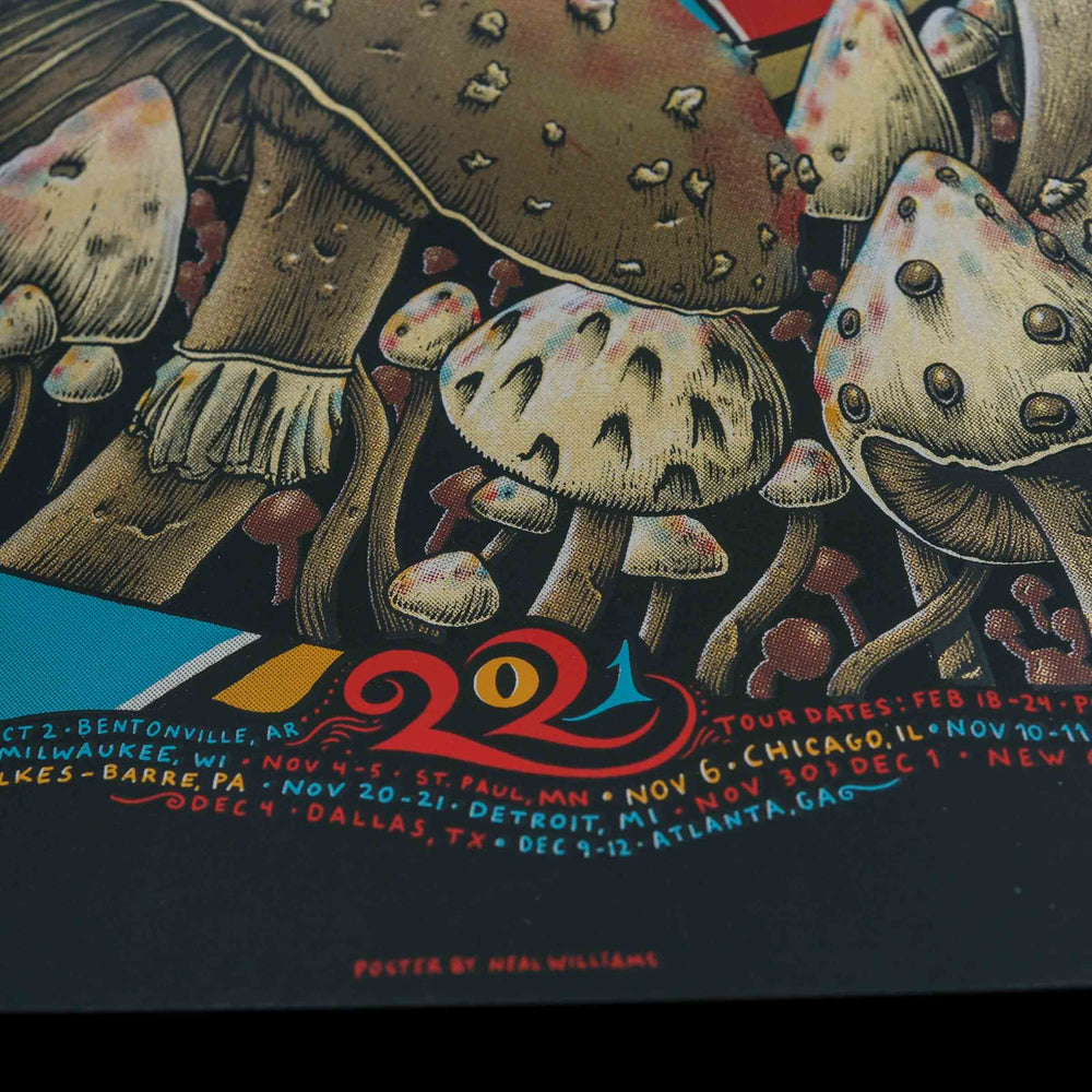 close up of Rare Dead Concert Poster with mushrooms