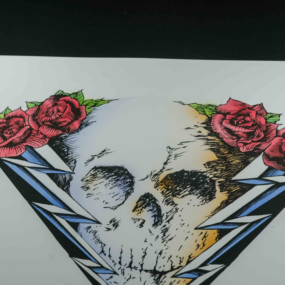 close up of skull on RareDeadConcertPoster