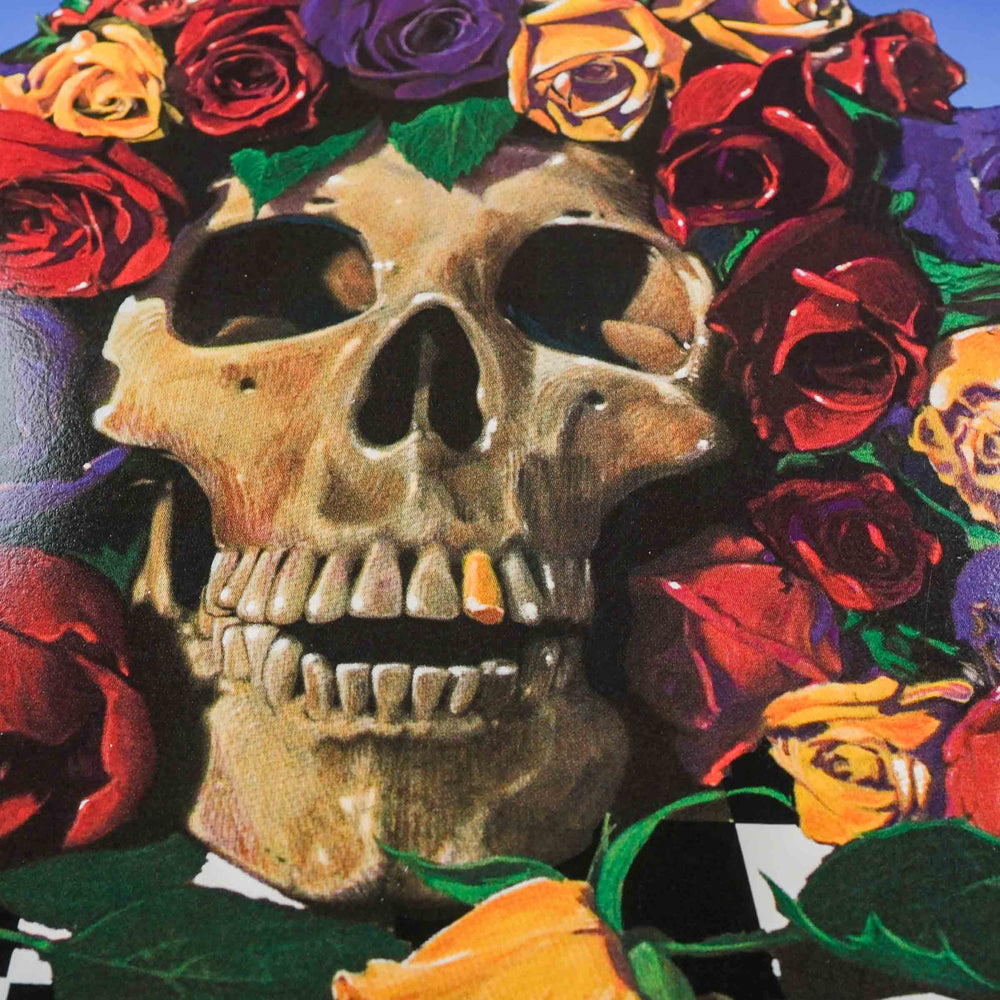 close up of skull on stanley mouse rare dead concert poster