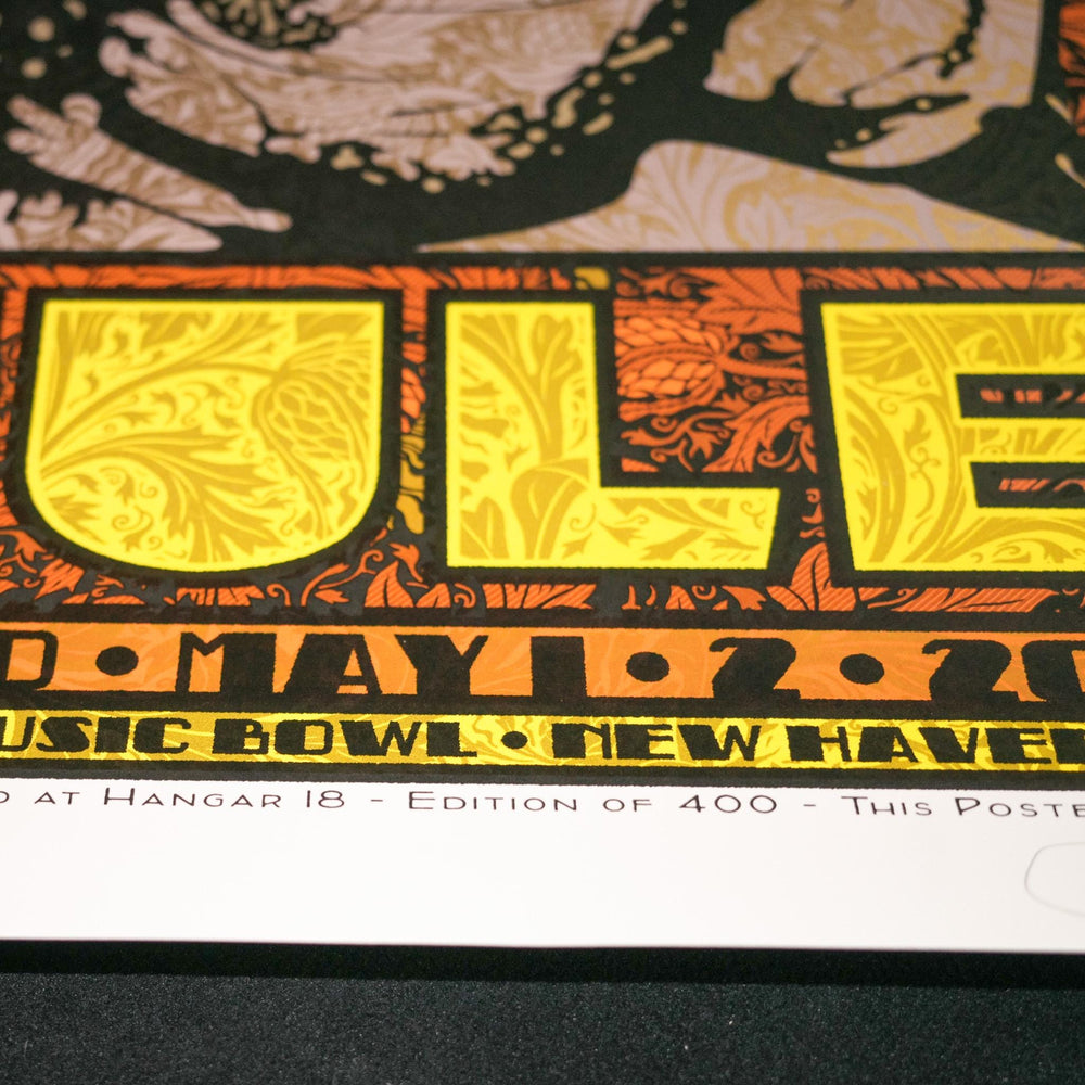 Chuck Sperry Government Mule 2021 New Haven Concert Poster